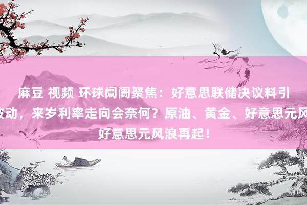 麻豆 视频 环球阛阓聚焦：好意思联储决议料引爆阛阓波动，来岁利率走向会奈何？原油、黄金、好意思元风浪再起！