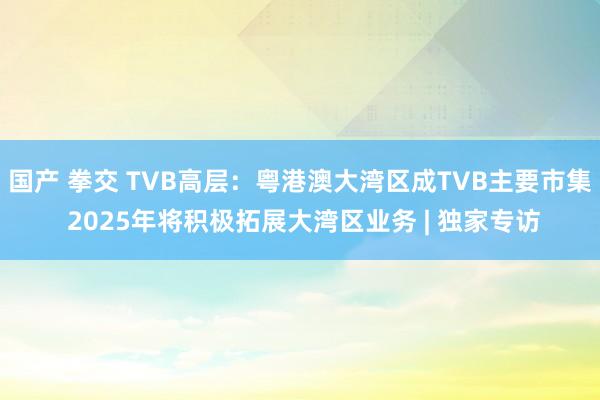 国产 拳交 TVB高层：粤港澳大湾区成TVB主要市集 2025年将积极拓展大湾区业务 | 独家专访