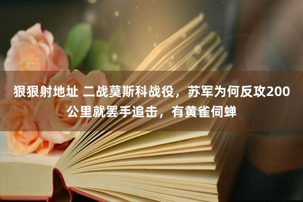 狠狠射地址 二战莫斯科战役，苏军为何反攻200公里就罢手追击，有黄雀伺蝉