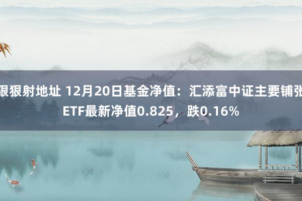 狠狠射地址 12月20日基金净值：汇添富中证主要铺张ETF最新净值0.825，跌0.16%