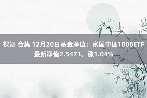 裸舞 合集 12月20日基金净值：富国中证1000ETF最新净值2.5473，涨1.04%