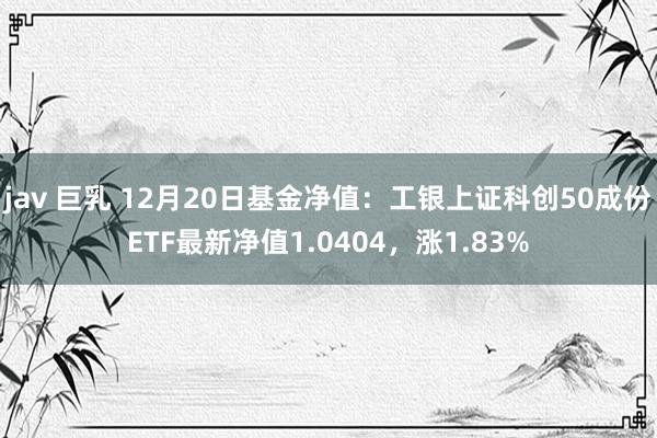 jav 巨乳 12月20日基金净值：工银上证科创50成份ETF最新净值1.0404，涨1.83%