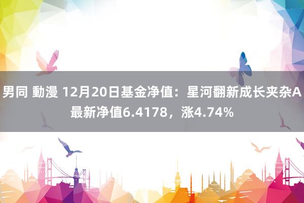 男同 動漫 12月20日基金净值：星河翻新成长夹杂A最新净值6.4178，涨4.74%