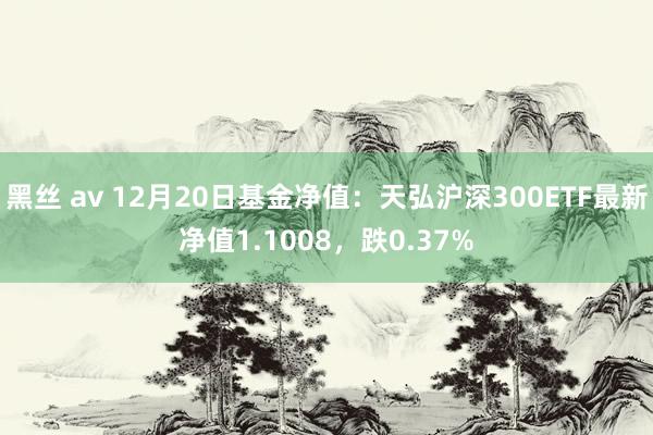 黑丝 av 12月20日基金净值：天弘沪深300ETF最新净值1.1008，跌0.37%