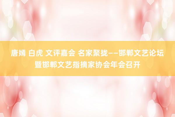 唐嫣 白虎 文评嘉会 名家聚拢——邯郸文艺论坛暨邯郸文艺指摘家协会年会召开