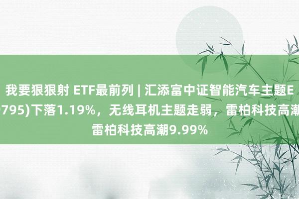 我要狠狠射 ETF最前列 | 汇添富中证智能汽车主题ETF(159795)下落1.19%，无线耳机主题走弱，雷柏科技高潮9.99%