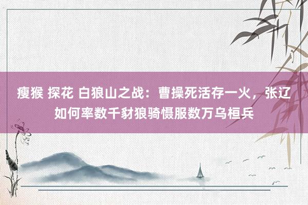 瘦猴 探花 白狼山之战：曹操死活存一火，张辽如何率数千豺狼骑慑服数万乌桓兵