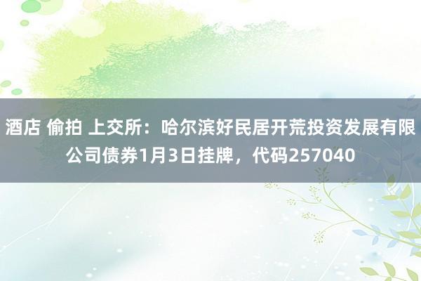 酒店 偷拍 上交所：哈尔滨好民居开荒投资发展有限公司债券1月3日挂牌，代码257040