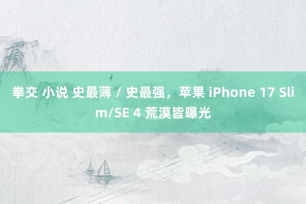 拳交 小说 史最薄 / 史最强，苹果 iPhone 17 Slim/SE 4 荒漠皆曝光