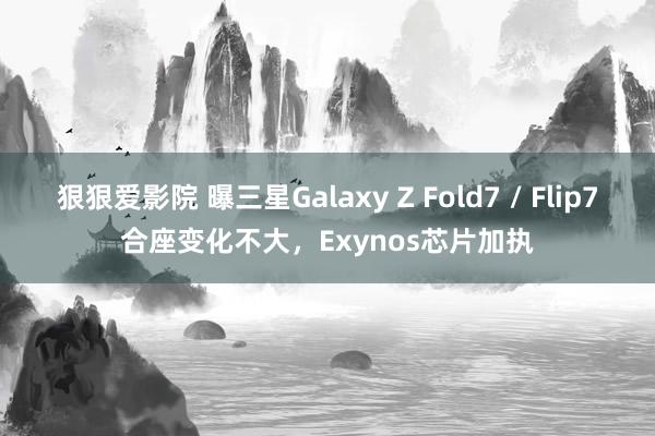 狠狠爱影院 曝三星Galaxy Z Fold7 / Flip7合座变化不大，Exynos芯片加执