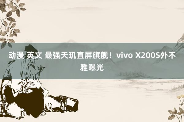 动漫 英文 最强天玑直屏旗舰！vivo X200S外不雅曝光