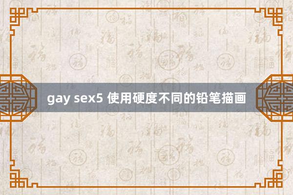 gay sex5 使用硬度不同的铅笔描画