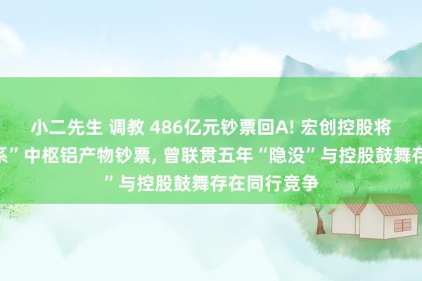 小二先生 调教 486亿元钞票回A! 宏创控股将吞下“魏桥系”中枢铝产物钞票， 曾联贯五年“隐没”与控股鼓舞存在同行竞争