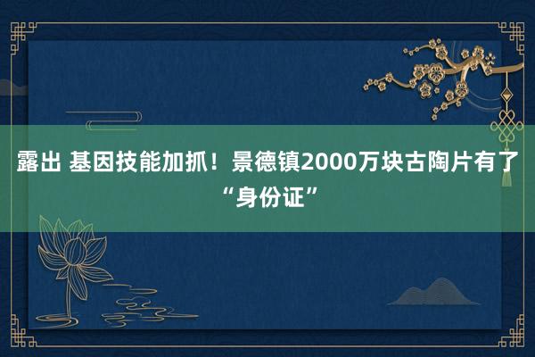 露出 基因技能加抓！景德镇2000万块古陶片有了“身份证”