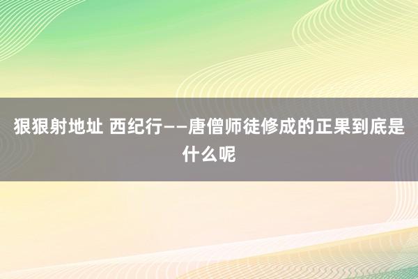 狠狠射地址 西纪行——唐僧师徒修成的正果到底是什么呢