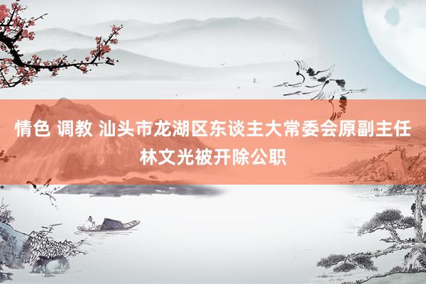 情色 调教 汕头市龙湖区东谈主大常委会原副主任林文光被开除公职