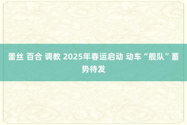 蕾丝 百合 调教 2025年春运启动 动车“舰队”蓄势待发